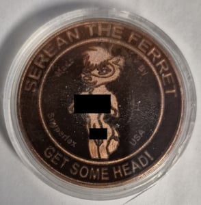 #07 Serean the Ferret